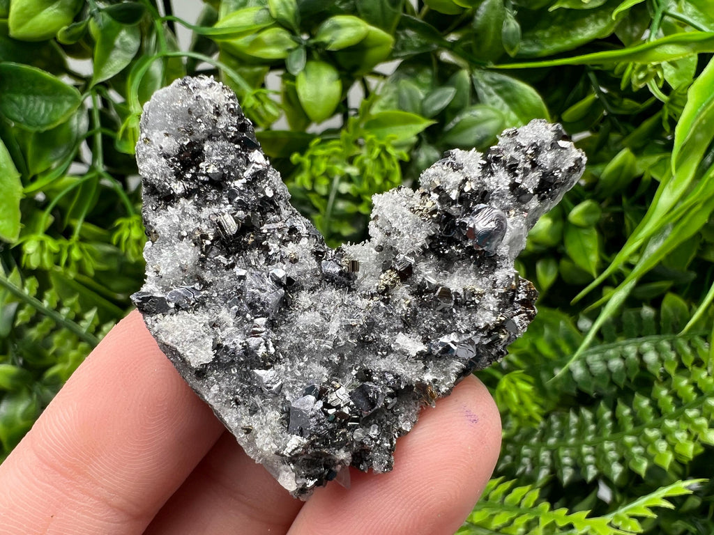 Galena Sphalerite on Quartz, Borieva Mine Bulgaria