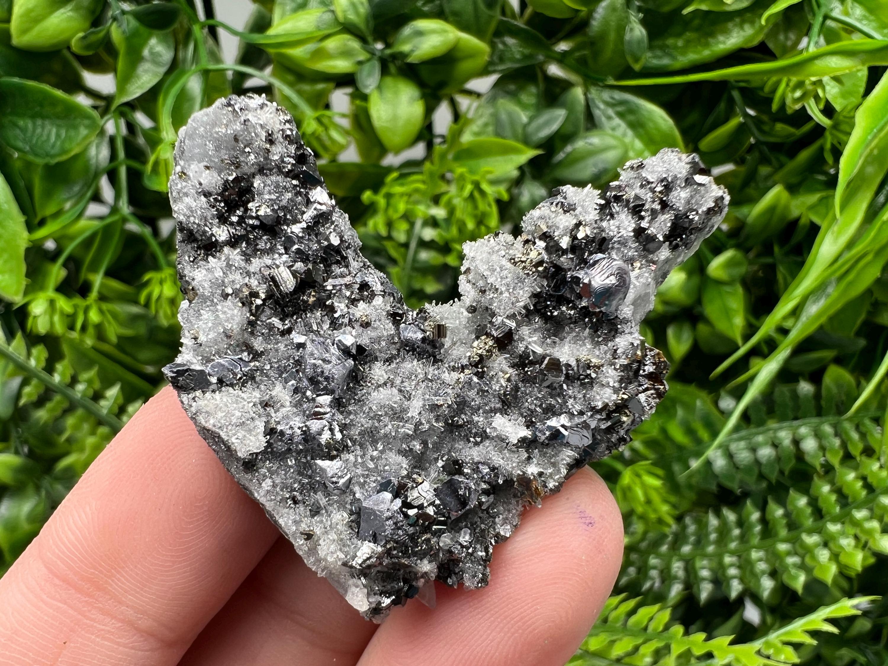 Galena Sphalerite on Quartz, Borieva Mine Bulgaria