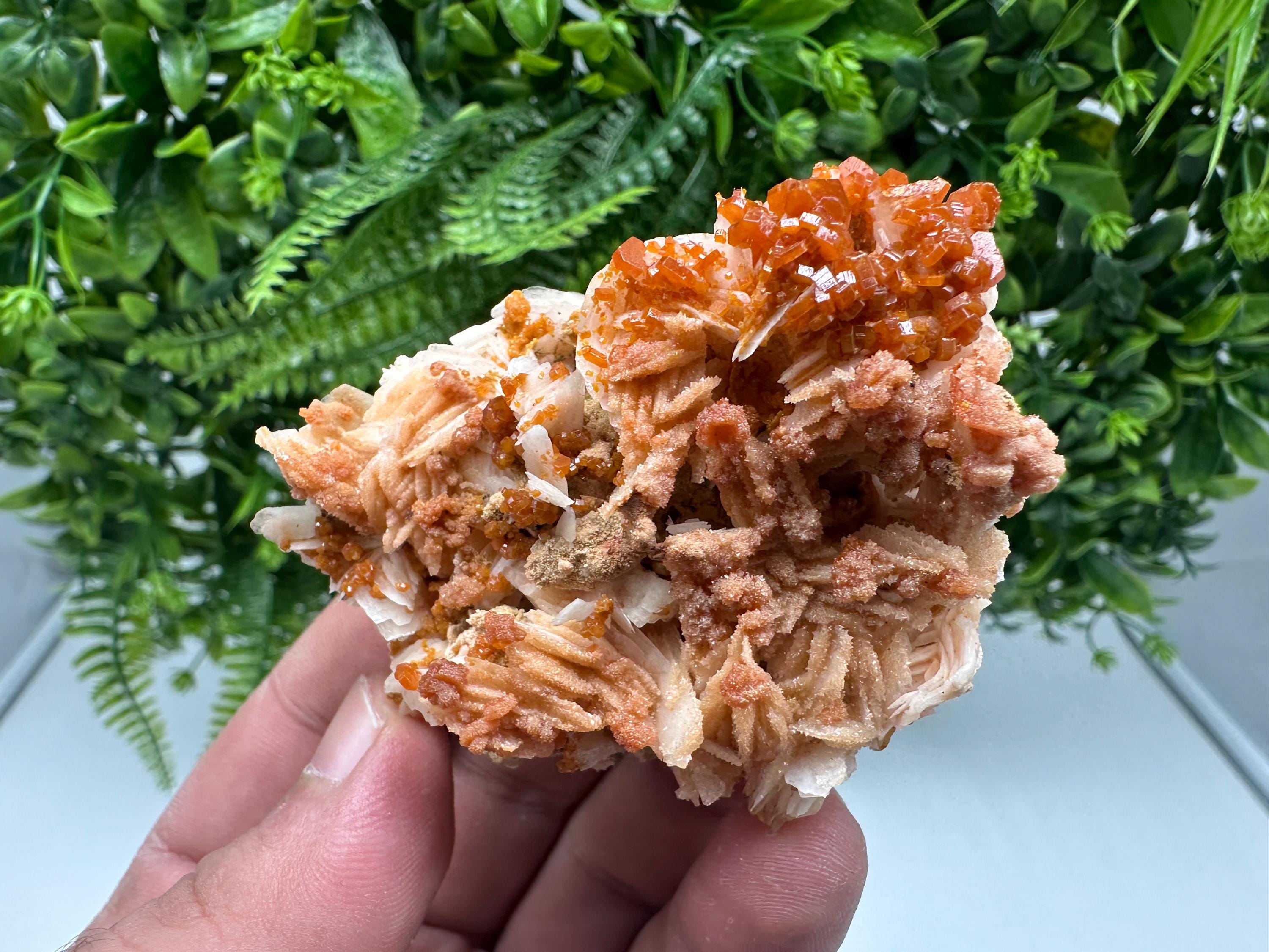 Red Vanadinite on Barite from Marocco,crystal minerals Speciment cluster Vanadinite crystal Vanadinite Geology Vanadinite cluster minerals