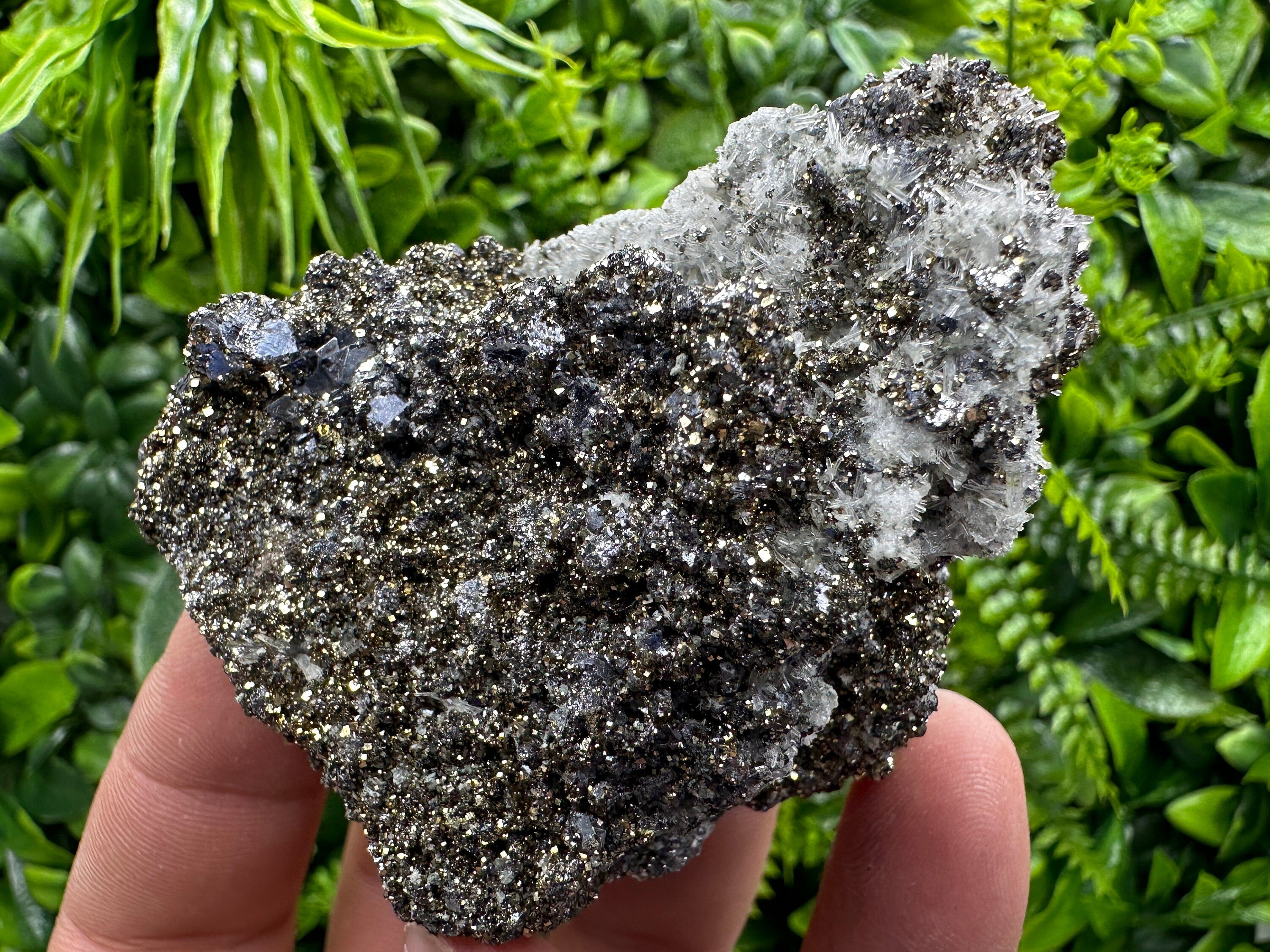 Galena Pyrite on Quartz Crystal Cluster - Borieva Mine, Bulgaria