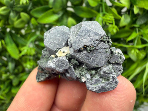 Aesthetic Sphalerite,Galena whit Chlorite from Borieva mine Madan Bulgaria natural minerals souvenir crystal gift home decor stone rock
