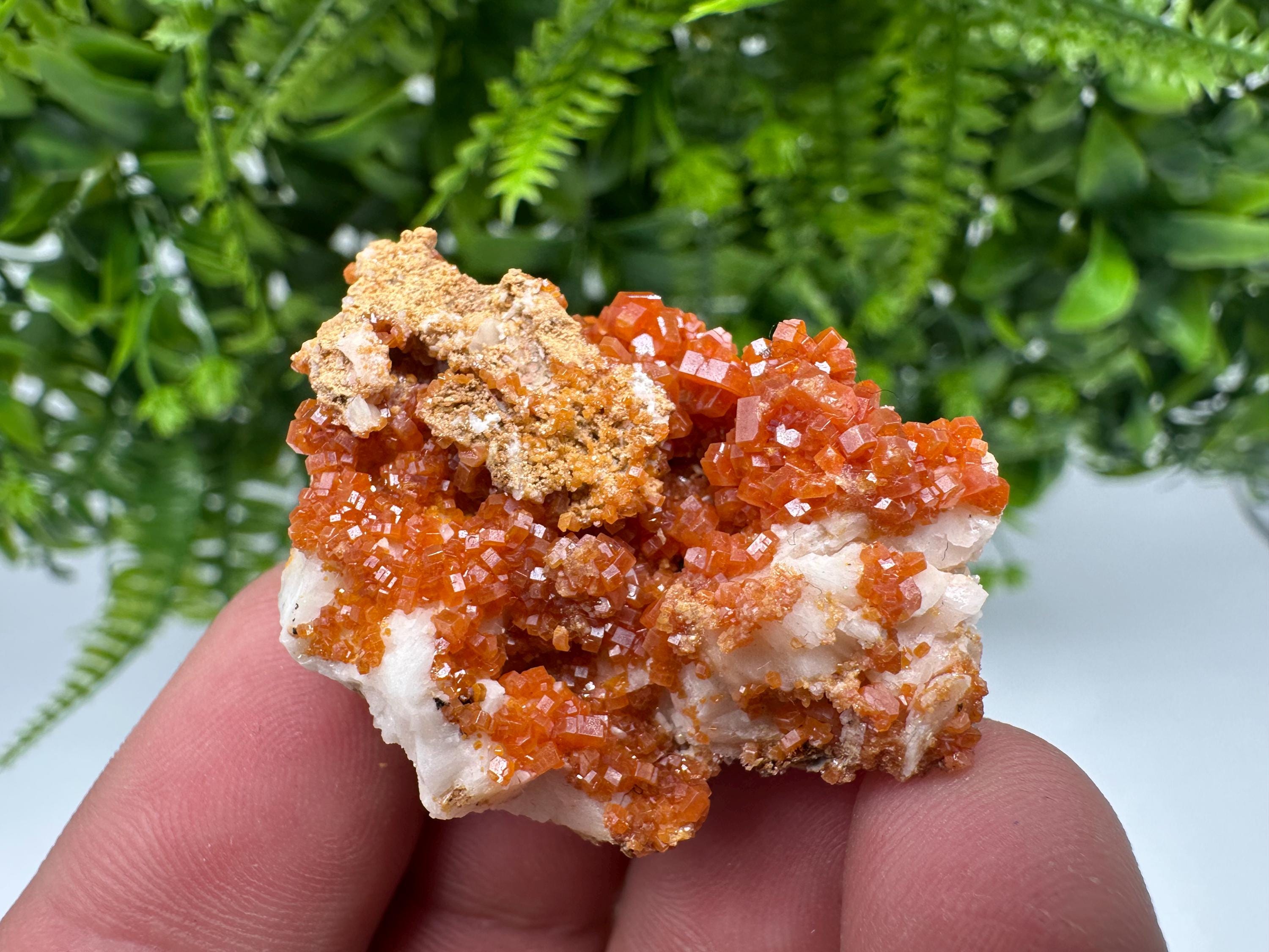 Red Vanadinite on Barite, Morocco Crystal Specimen