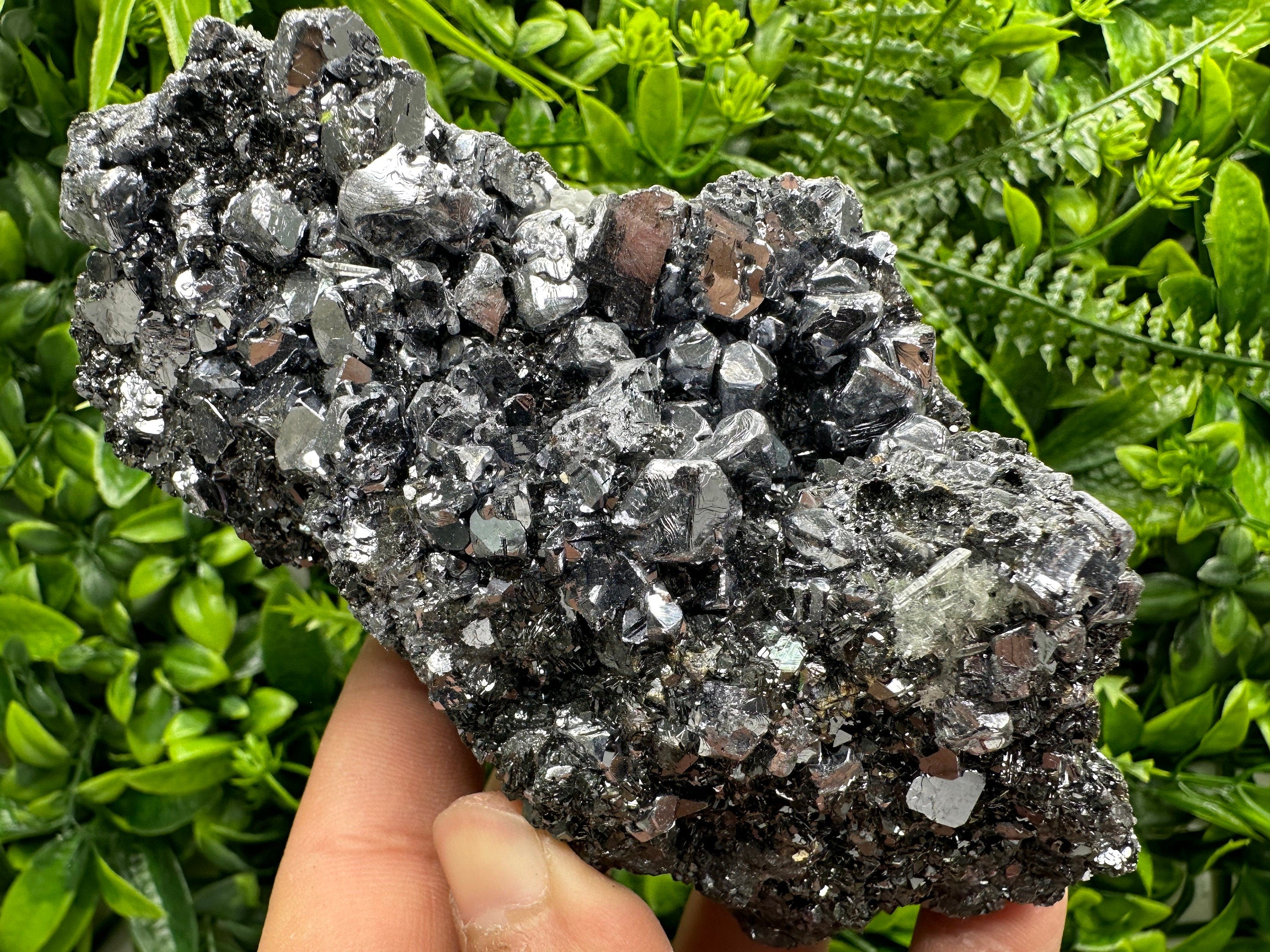 Mirror Galena on Sphalerite, Borieva Mine Mineral Specimen