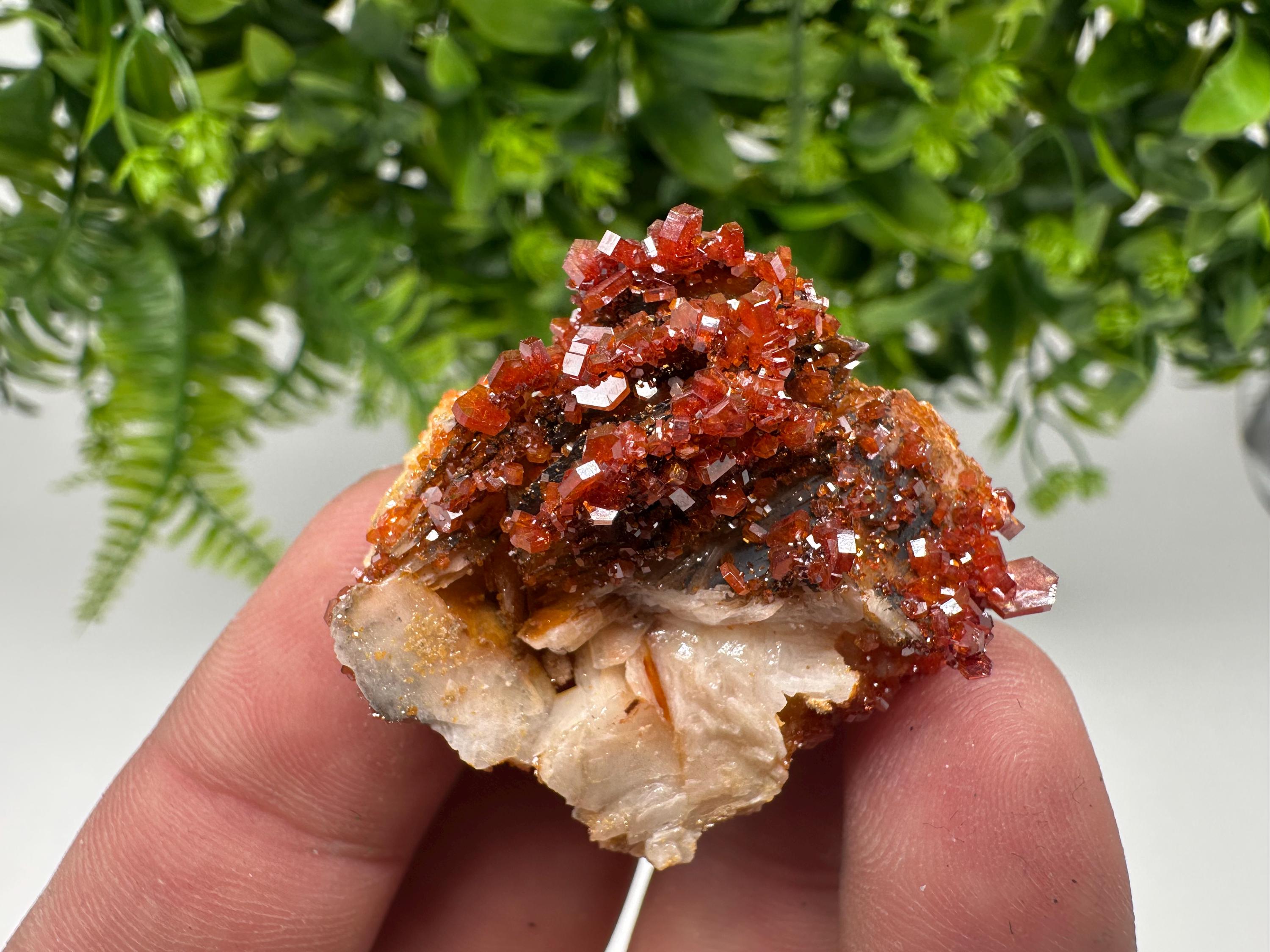 Red Vanadinite on Barite from Marocco,crystal minerals Speciment cluster Vanadinite crystal Vanadinite Geology Vanadinite cluster minerals