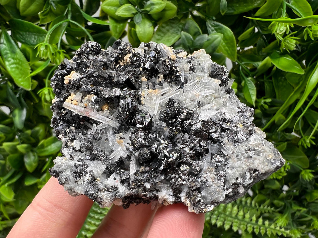 Galena Cluster with Siderite and Quartz, 9th September Mine, Bulgaria