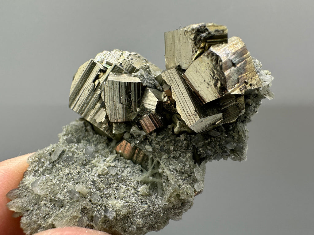 Golden Pyrite on Quartz with Chlorite - Borieva Mine Bulgaria