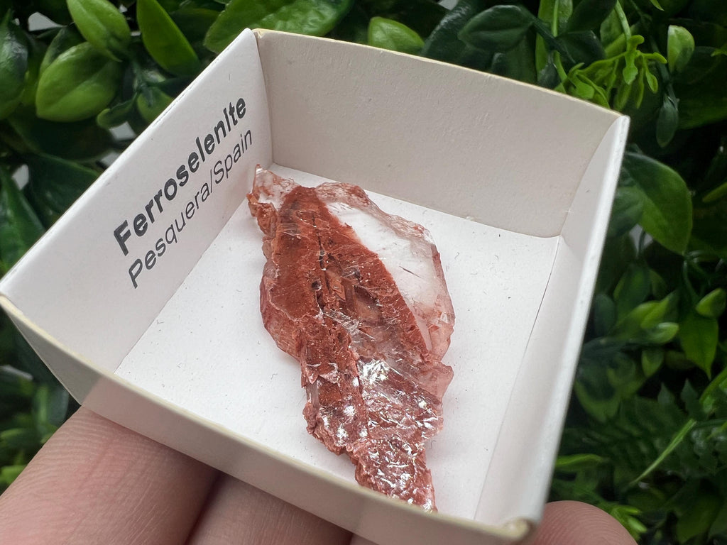 Rare Ferroselenite Specimen: La Pesquera, Spain Mineral (4.5/2.3 cm