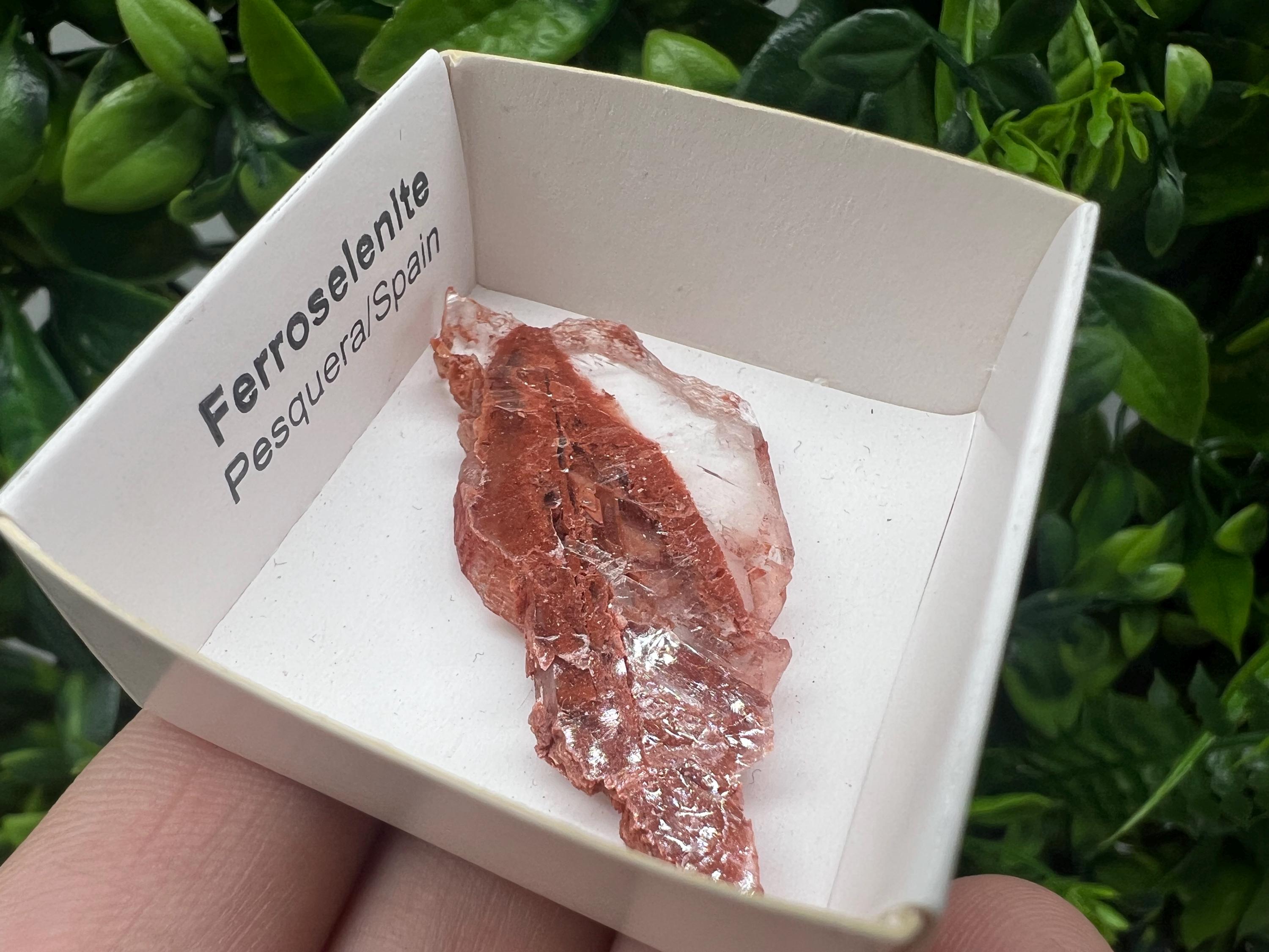 Rare Ferroselenite Specimen: La Pesquera, Spain Mineral (4.5/2.3 cm