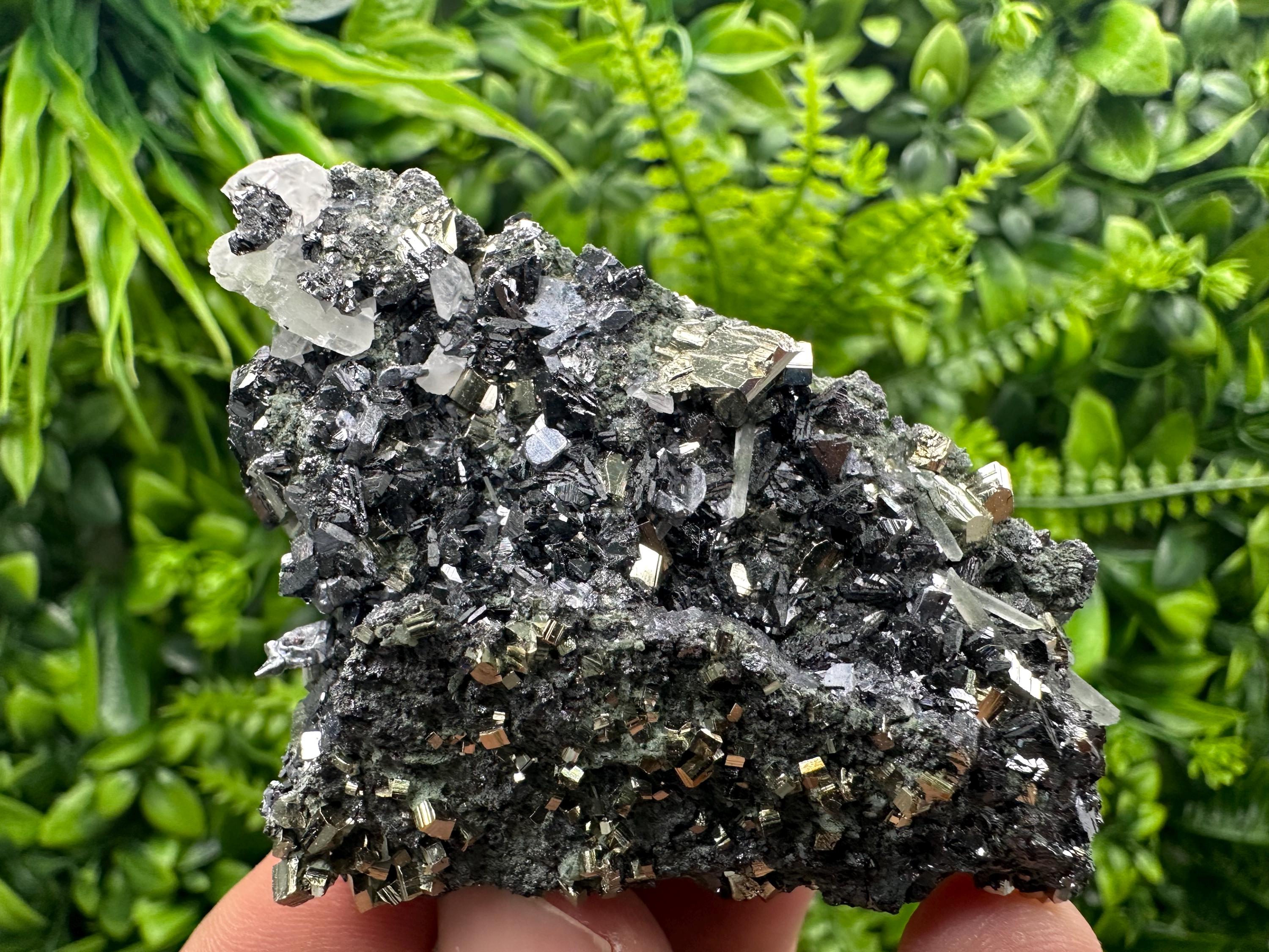 Sphalerite on Quartz with Pyrite, Borieva Mine Mineral Specimen