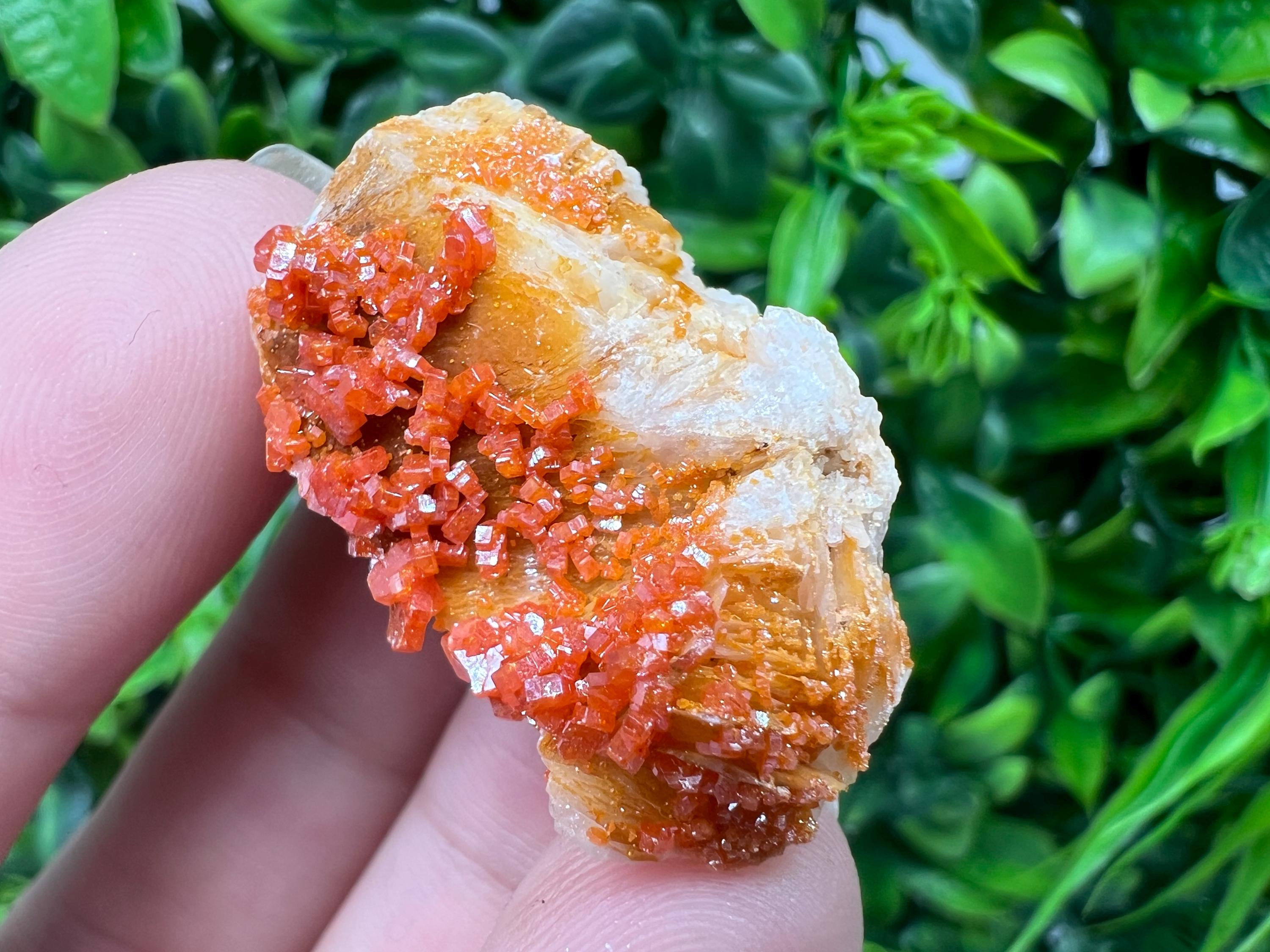 Red Vanadinite on Barite from Marocco,crystal minerals Speciment cluster Vanadinite crystal Vanadinite Geology Vanadinite cluster minerals
