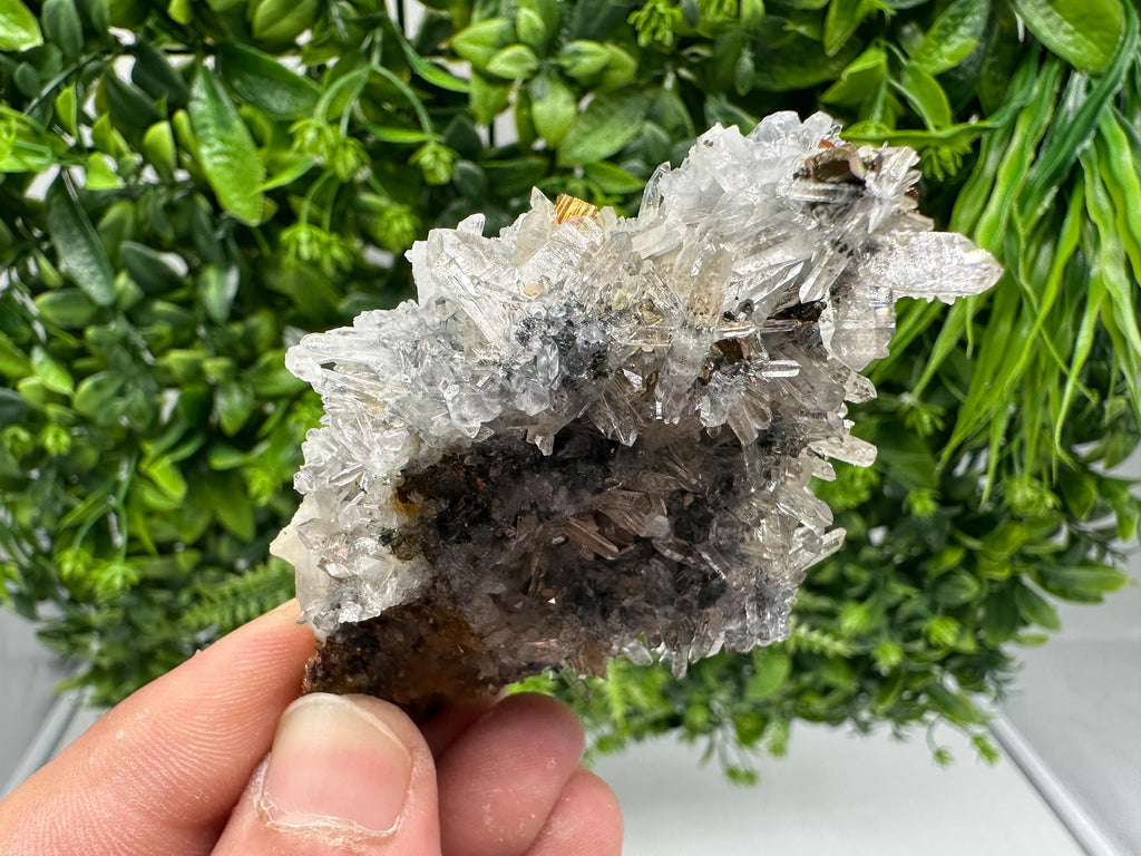 Rainbow Pyrite with Quartz: Natural Mineral Souvenir, Bulgaria