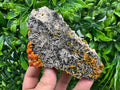 Red Vanadinite Crystal Cluster on Barite with Goethite, Morocco