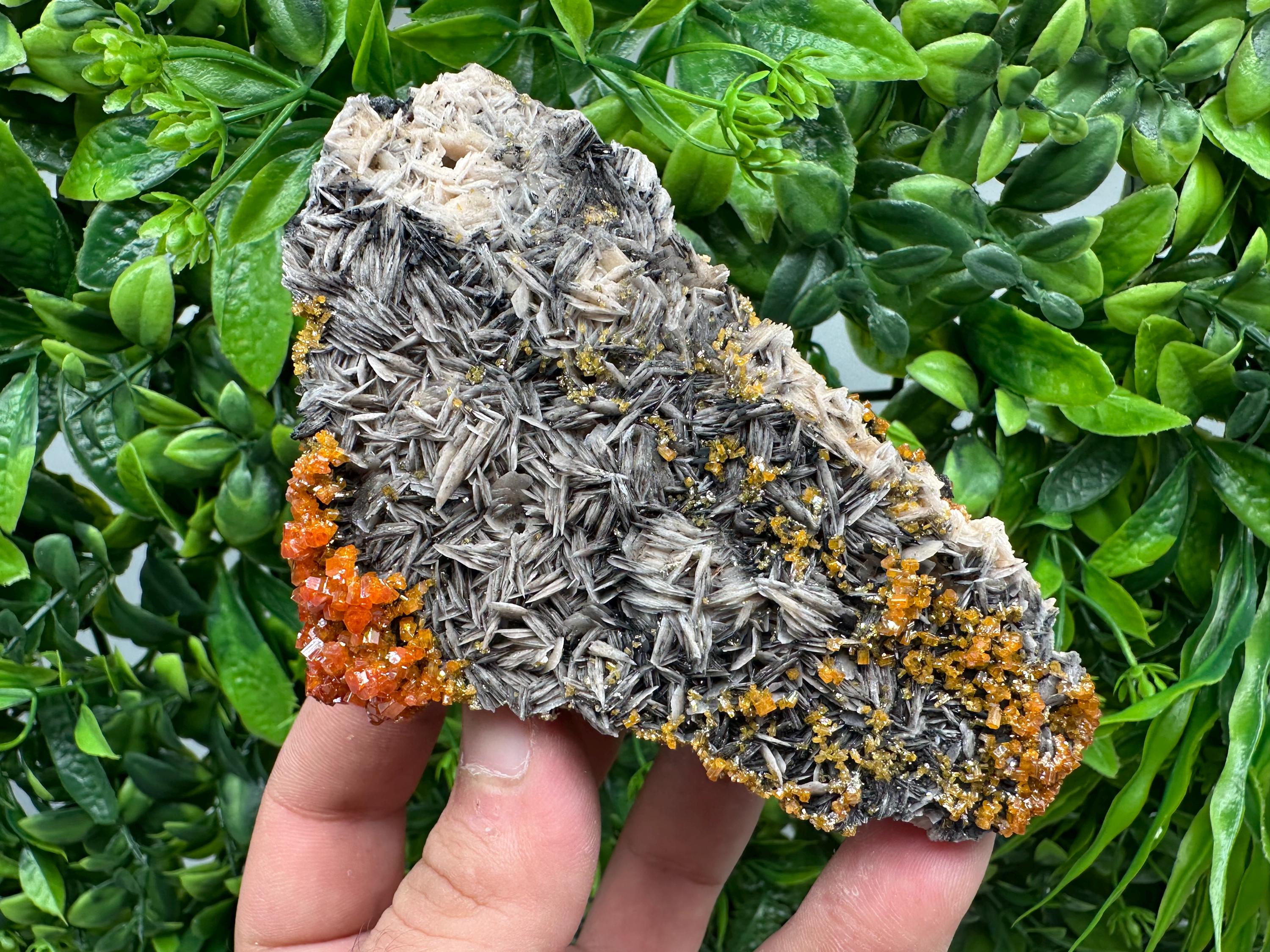 Red Vanadinite Crystal Cluster on Barite with Goethite, Morocco