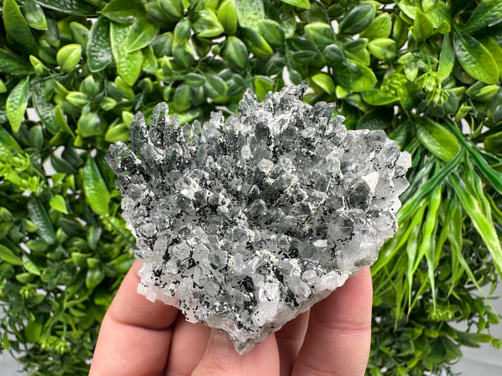 Chlorite Quartz Mineral Specimen, Borieva Mine, Bulgaria