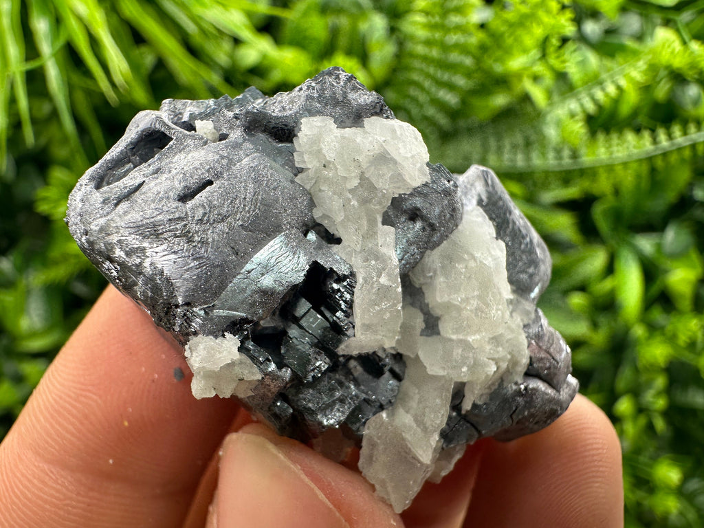 Galena Cluster: Borieva Mine, Madan, Bulgaria