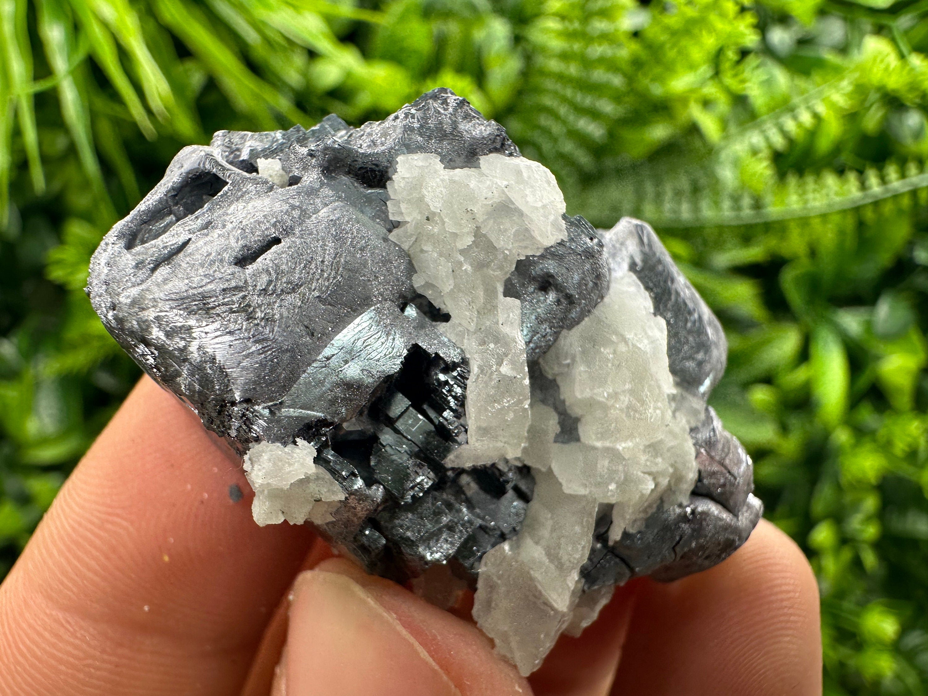 Galena Cluster: Borieva Mine, Madan, Bulgaria