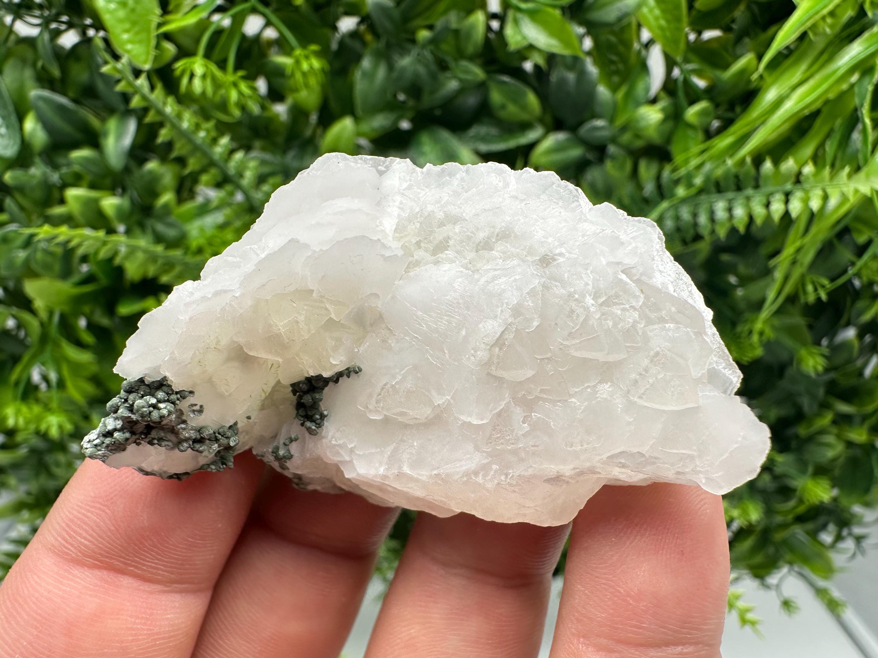 Calcite on Green Quartz: Djurcovo Mine, Bulgaria Crystal