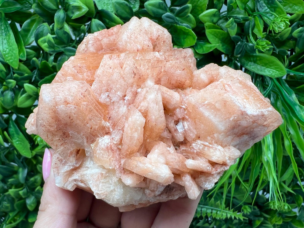 Apophyllite Stilbite Chalcedony Specimen: India Minerals Crystal Collection