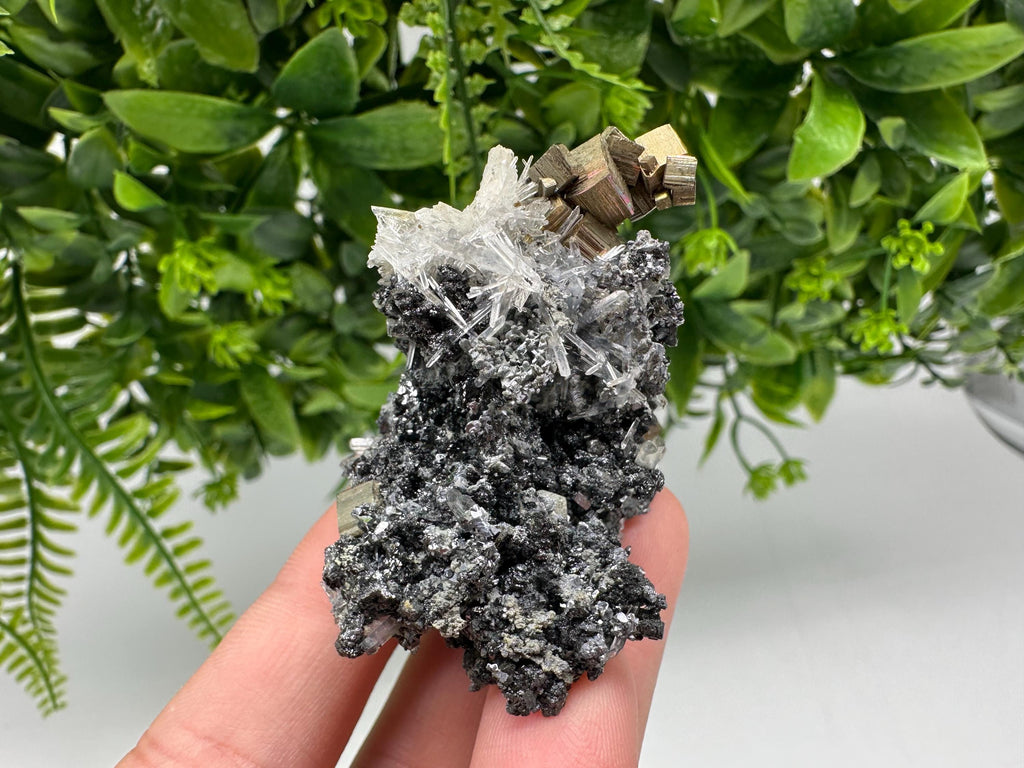Pyrite on Green Quartz: Rare Crystal Mineral Specimen, Bulgaria