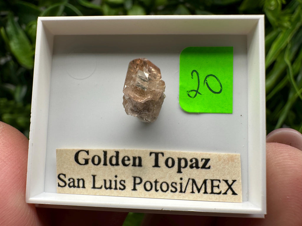 Golden Topaz Crystal, Mineral Specimen from Mexico