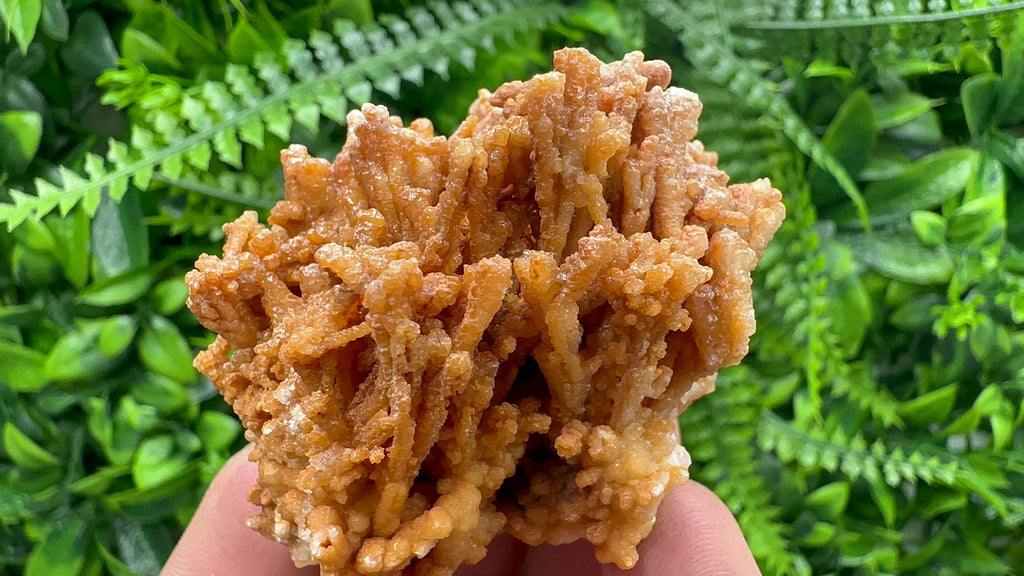 Dimitrovgrad Aragonite Cluster, Bulgaria Mineral Specimen