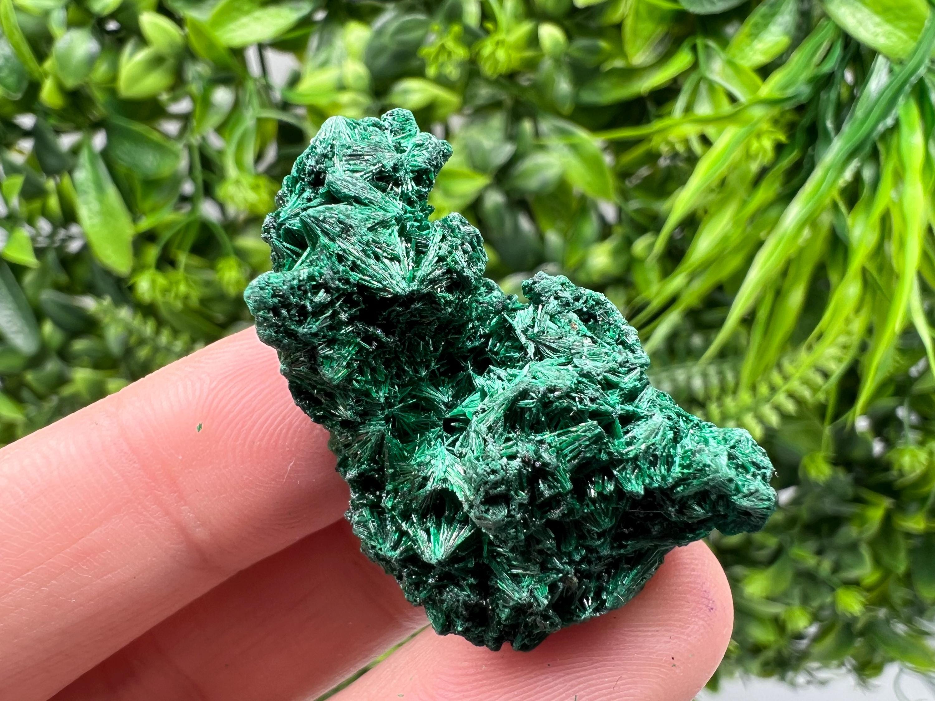 Malachite Crystal from Congo,Minerals,Crystals from Congo,Green Malachite, Malachite,Natural Malachite,Malachite Stone,Chakra, Specimens