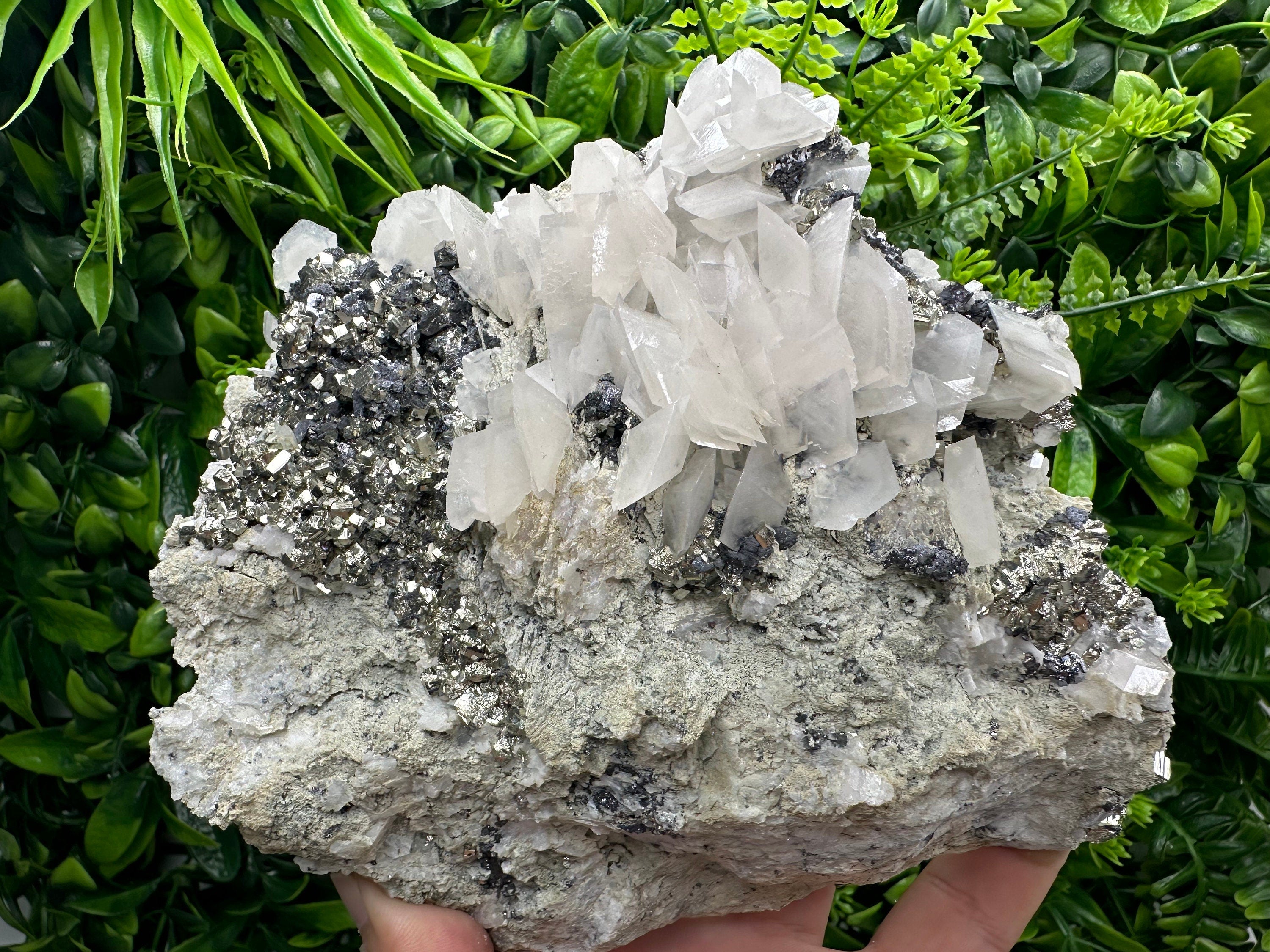 Golden Pyrite with Calcite on Matrix, Borieva Mine Mineral Specimen