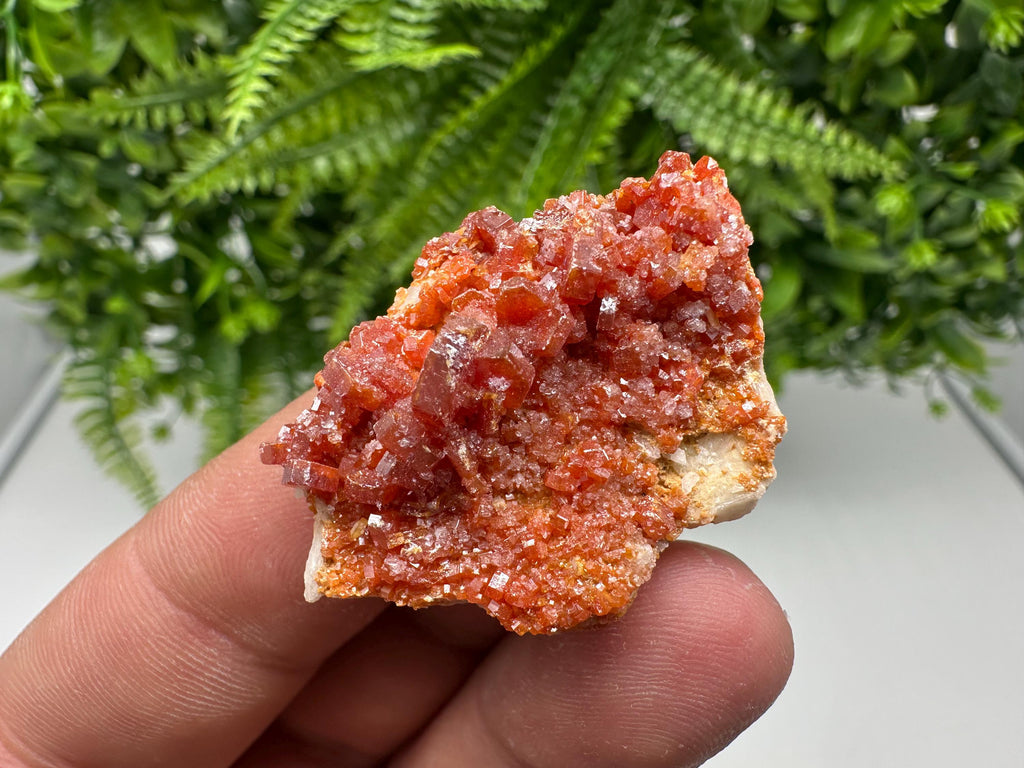 Red Vanadinite on Barite from Marocco,crystal minerals Speciment cluster Vanadinite crystal Vanadinite Geology Vanadinite cluster minerals