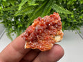 Red Vanadinite on Barite from Marocco,crystal minerals Speciment cluster Vanadinite crystal Vanadinite Geology Vanadinite cluster minerals