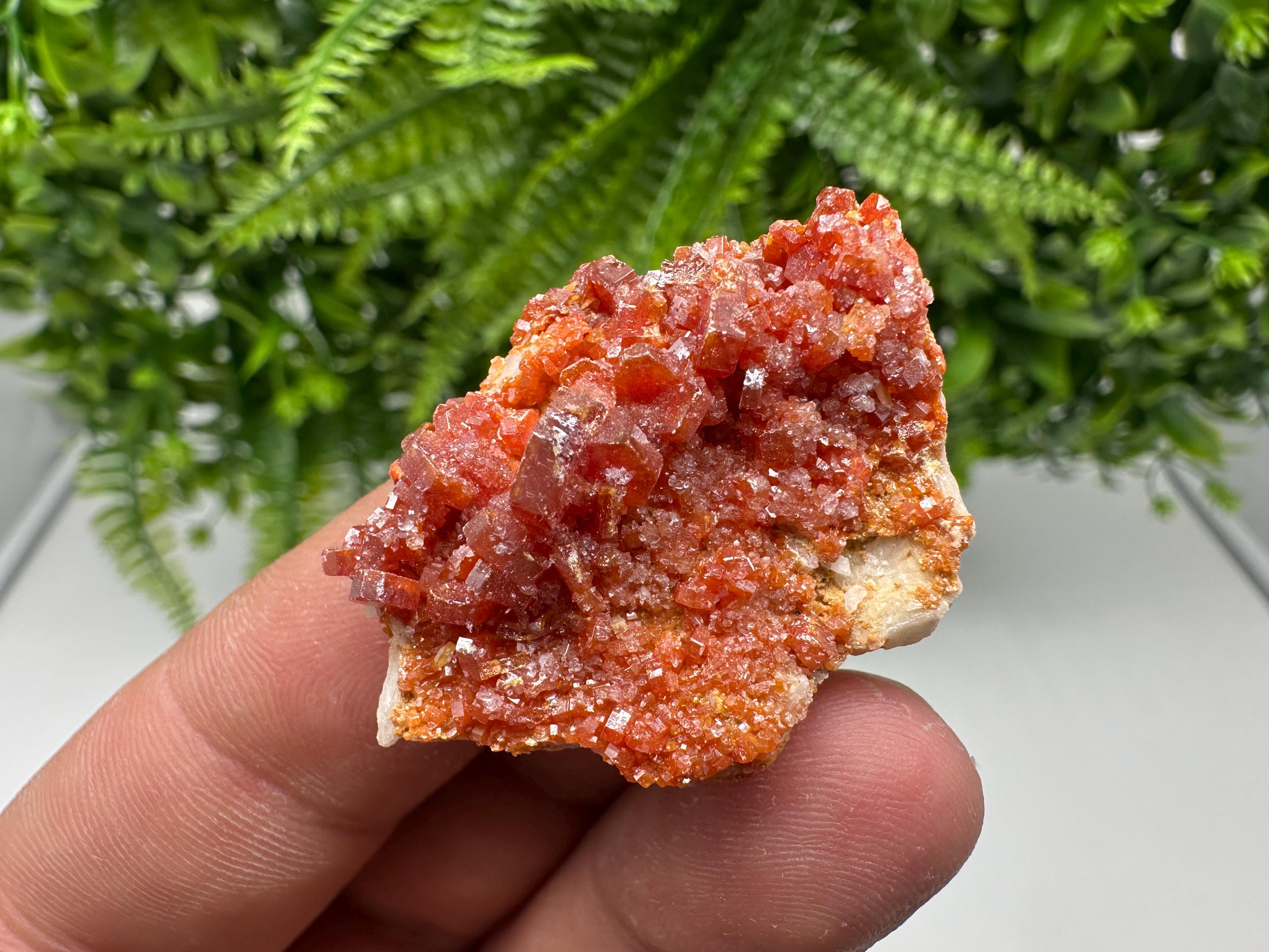 Red Vanadinite on Barite from Marocco,crystal minerals Speciment cluster Vanadinite crystal Vanadinite Geology Vanadinite cluster minerals