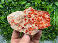 Red Vanadinite on Matrix from Marocco,crystal minerals Speciment cluster Vanadinite crystal Vanadinite Geology Vanadinite cluster minerals