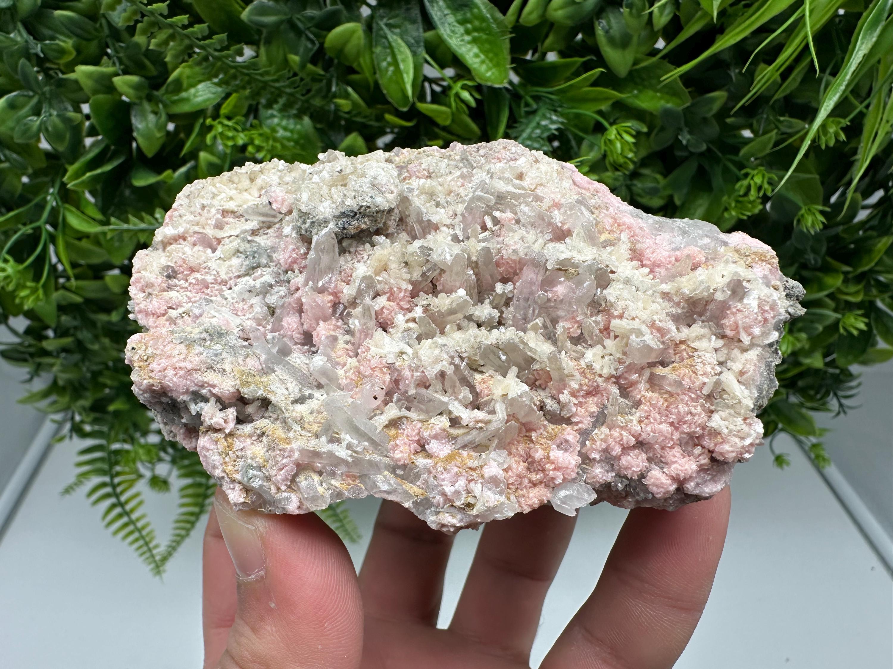 Pink Rhodochrosite Crystal, Starnica Mine, Bulgaria, Mineral Decor