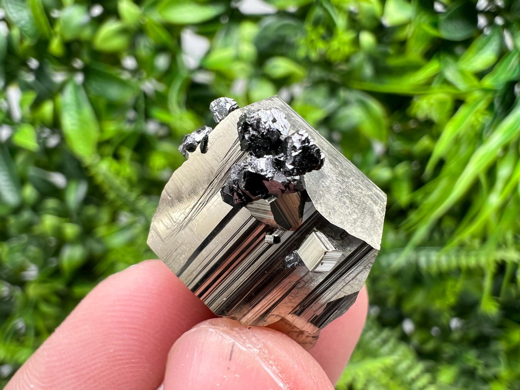 Rare Borieva Mine Pyrite Cluster, Rainbow Crystallization Specimen