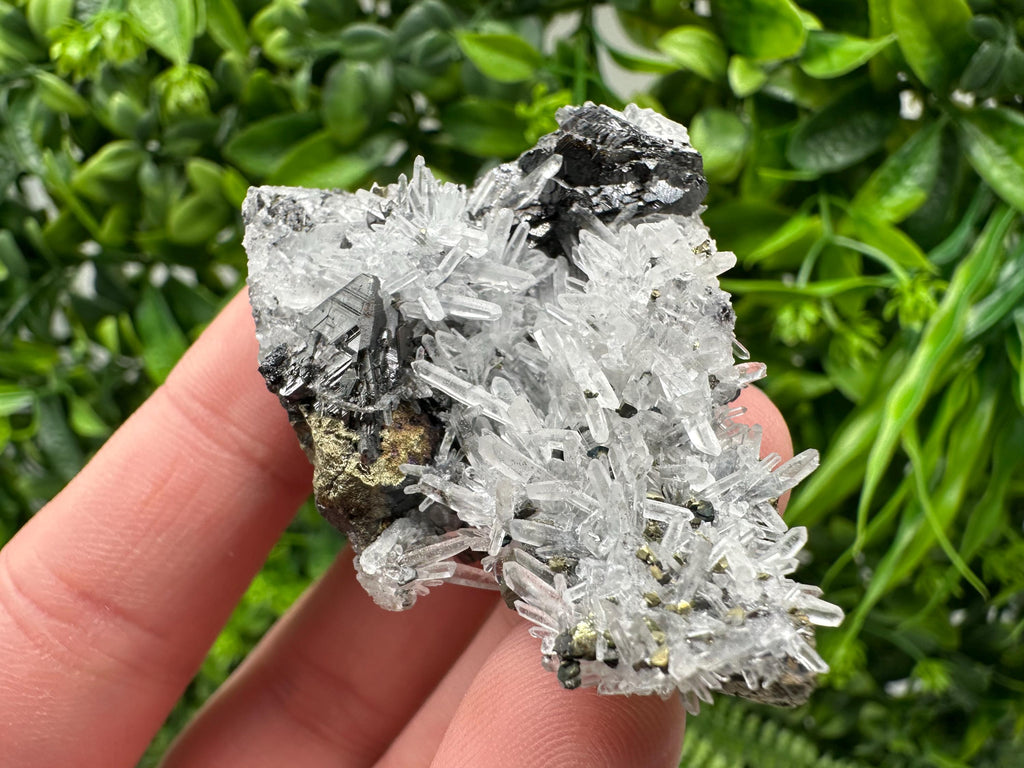 Wonderful Sphalerite Chalcopyrite on  Quartz whit Galena feom 9 th September mine,Bulgaria,natural,collection mineral specimen,gift