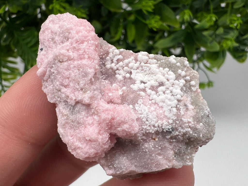 RARE Rhodochrosite with White Calcite, Starnica Mine, Bulgaria