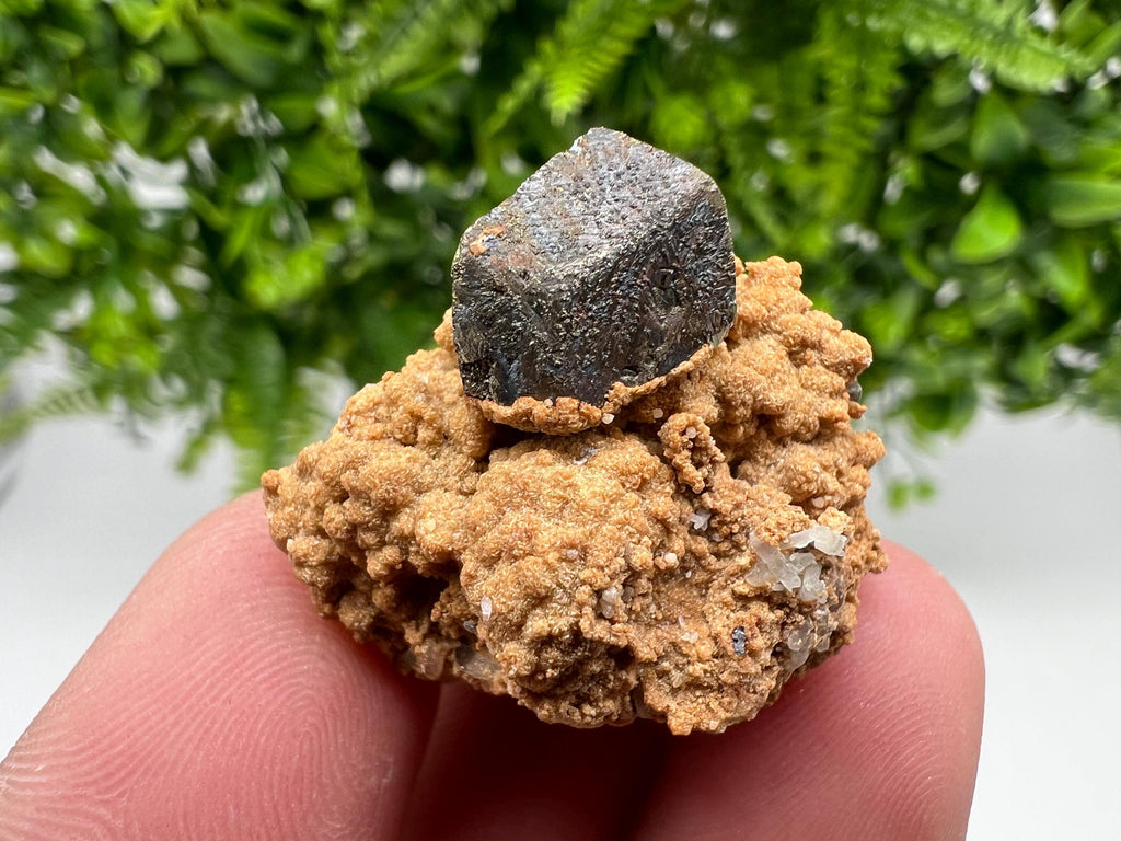 Chalcopyrite with Hematite on Siderite Specimen, Bulgaria Mineral Collection