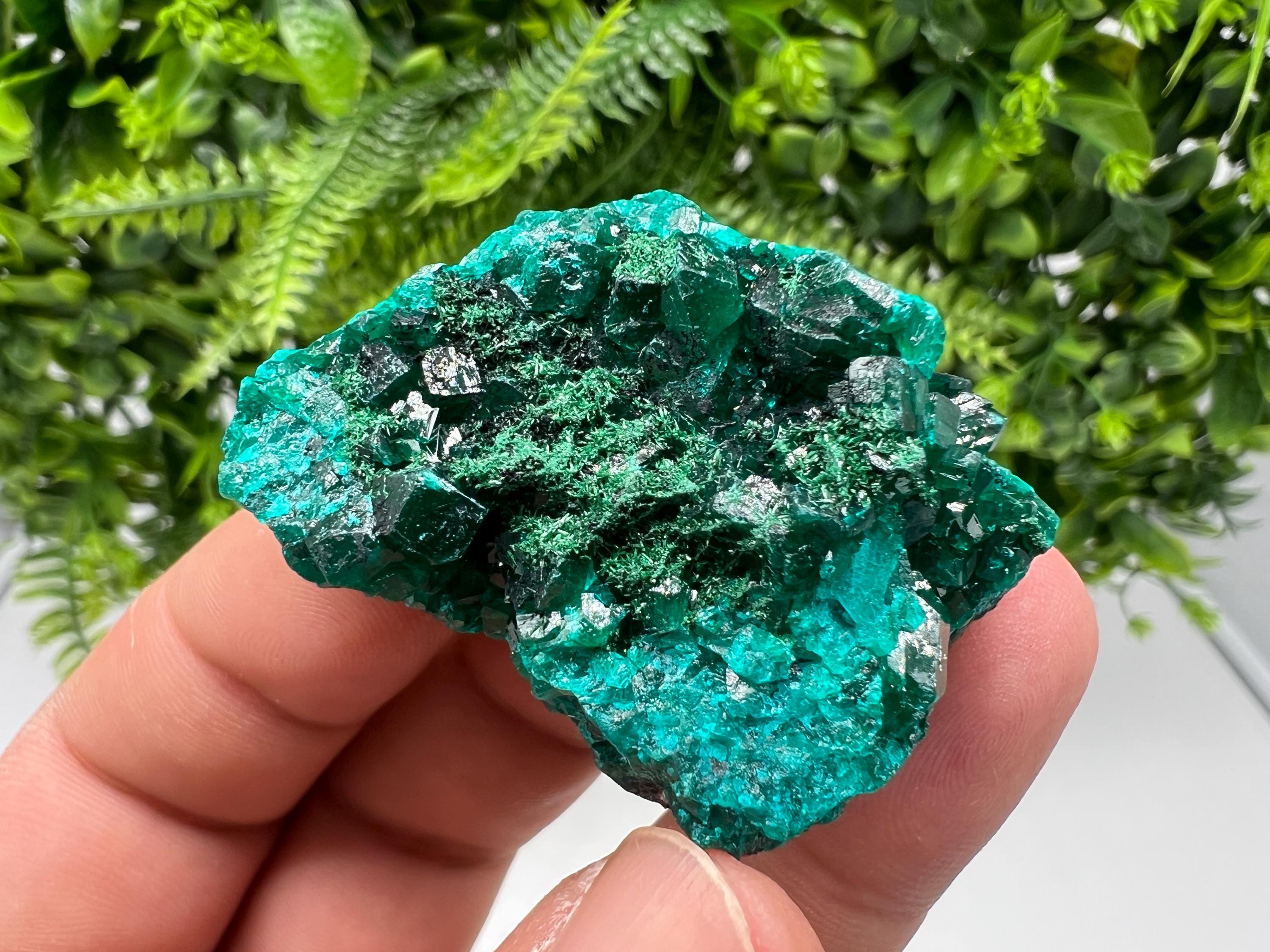 Stunning Green Dioptase from Sanda Hills,Mindouli,Pool Department,Mindouli District,Congo,green Dioptase,Dioptas Crystal,Dioptase collecting