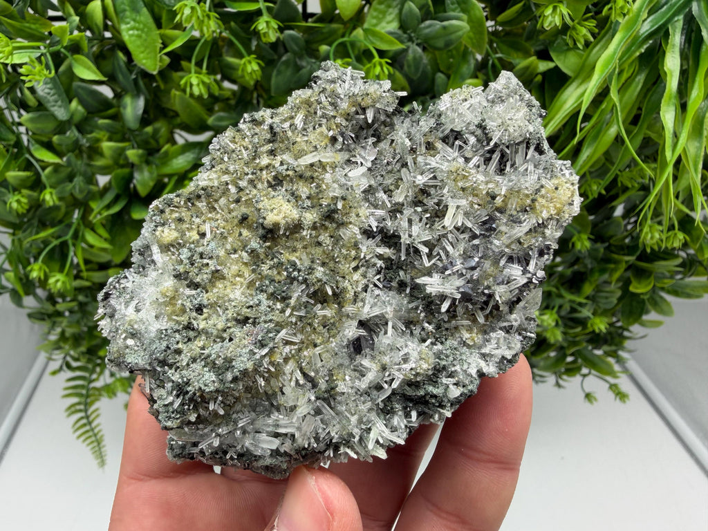 Quartz with Epidote on Matrix, Borieva Mine Bulgaria