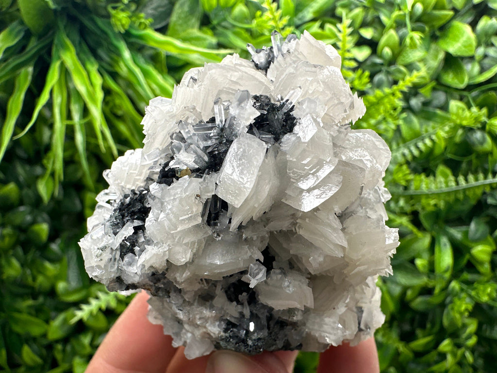 UV Fluorescence Calcite on Sphalerite, Quartz, Borieva Mine Crystal