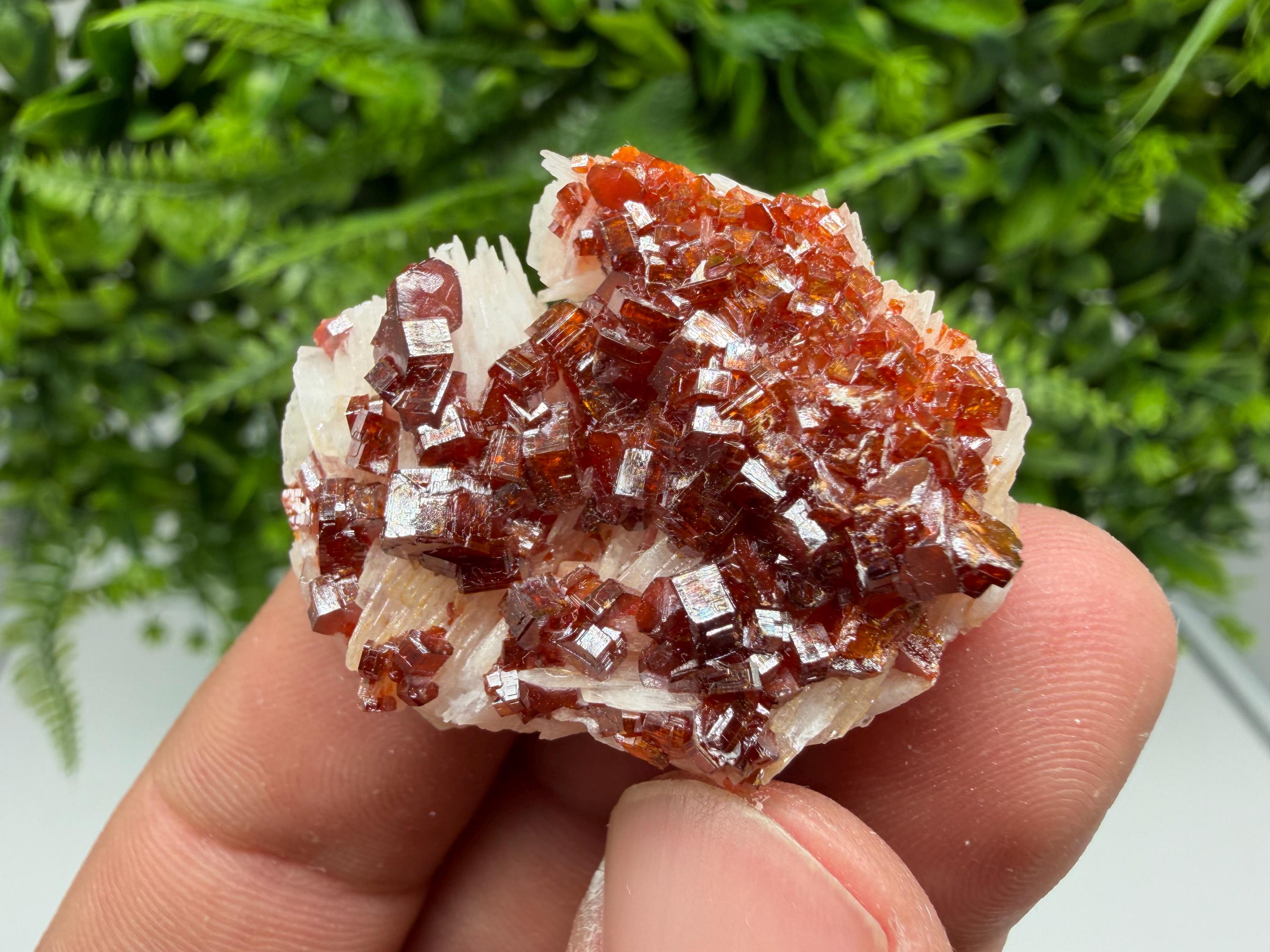 Red Vanadinite Crystal Cluster on Barite Matrix, Moroccan Mineral Specimen