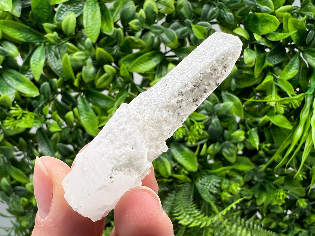 Transparent Quartz with Pyrite, Krushev Dol Mine Crystal, Bulgaria