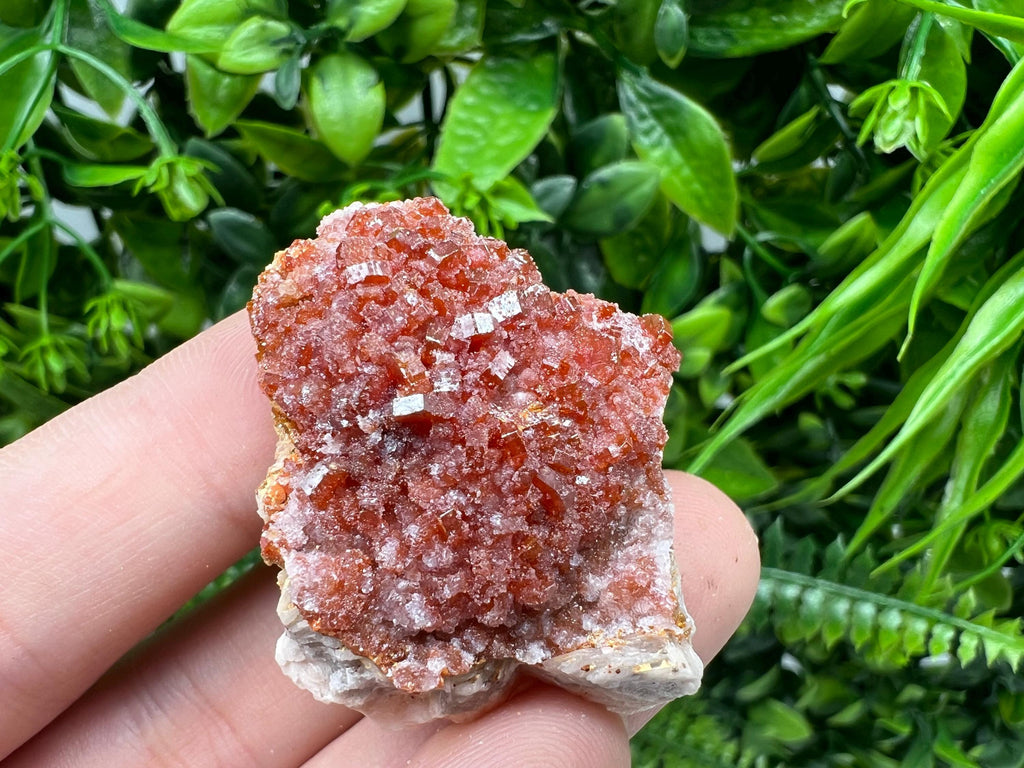 Red Vanadinite on Barite from Marocco,crystal minerals Speciment cluster Vanadinite crystal Vanadinite Geology Vanadinite cluster minerals
