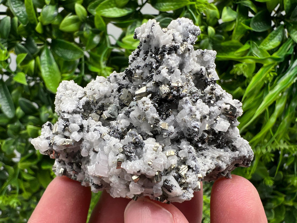 Pyrite on Quartz, Calcite Mineral Specimen, Borieva Mine, Bulgaria
