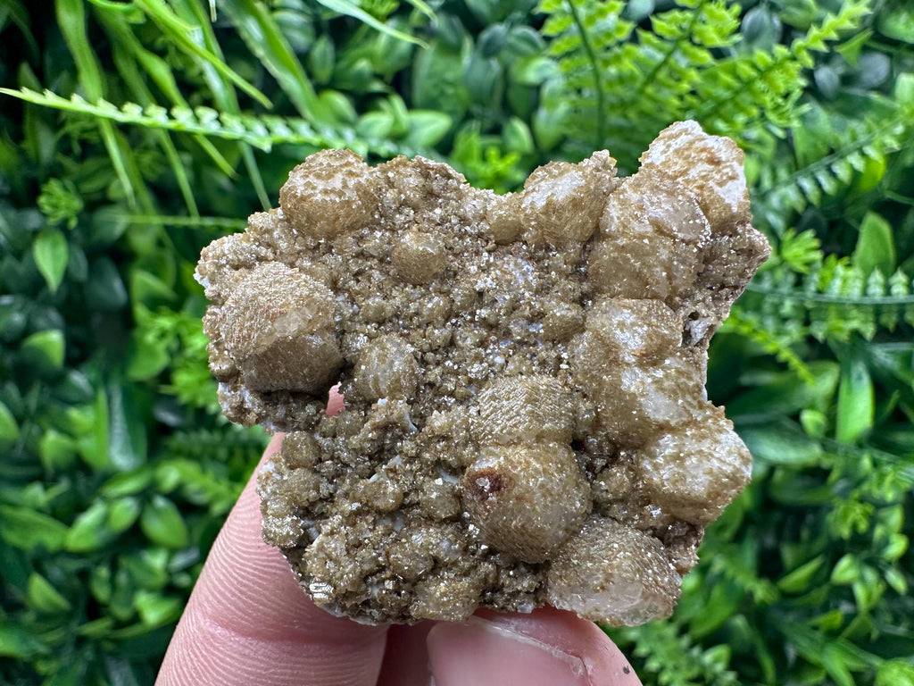 Brown Rhodochrosite on Calcite, Djurcovo Bulgaria, Mineral Specimen