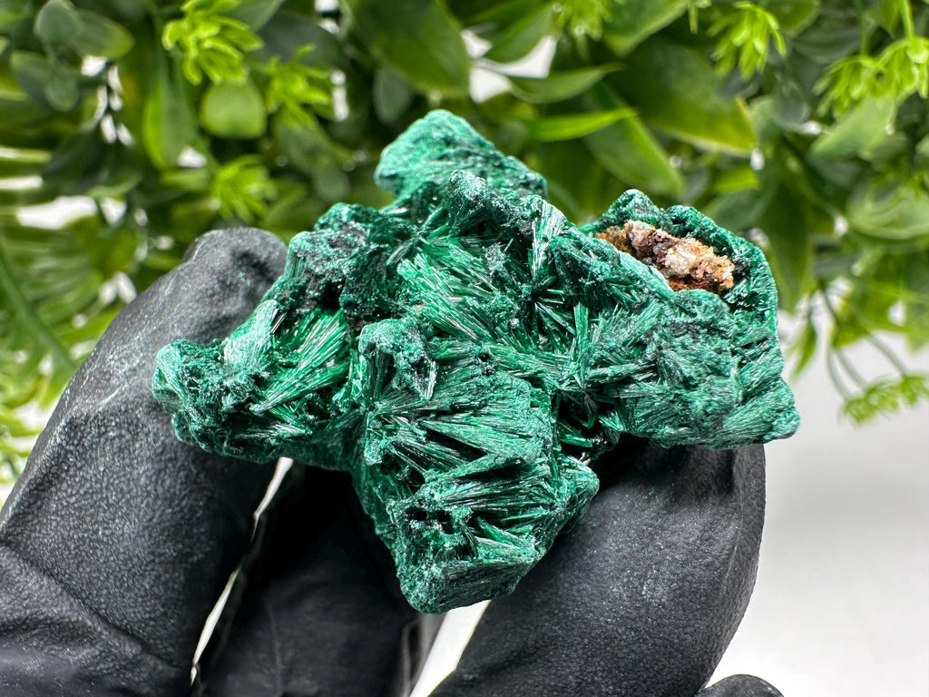 Malachite Crystal from Congo,Minerals,Crystals from Congo,Green Malachite, Malachite,Natural Malachite,Malachite Stone,Chakra, Specimens