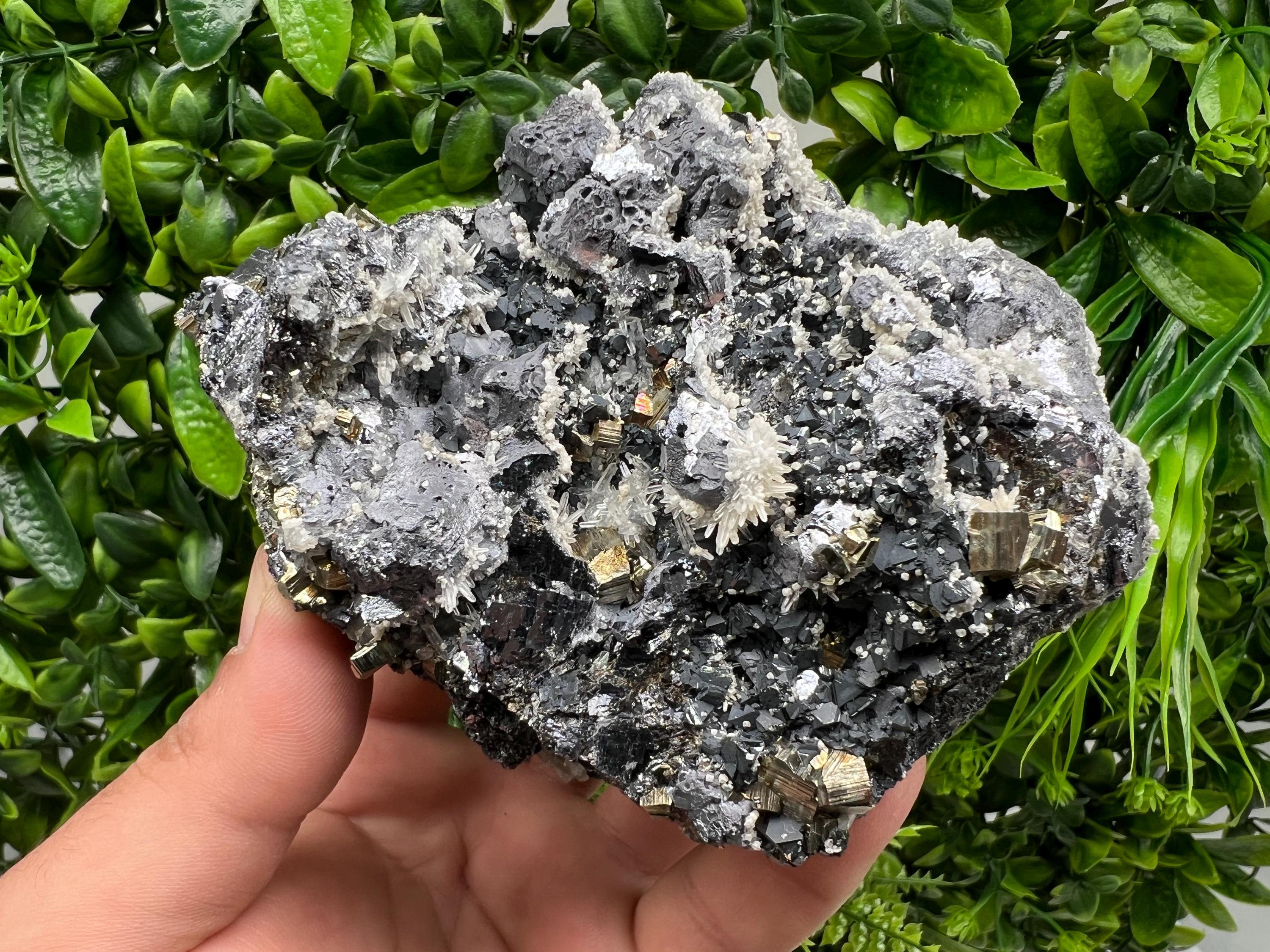 Galena Sphalerite Quartz Pyrite Mineral Specimen: Madan Bulgaria Rare Crystal