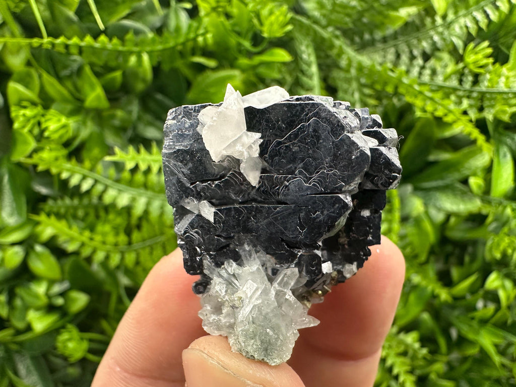Quartz Galena Calcite Specimen: Borieva Mine, Bulgaria
