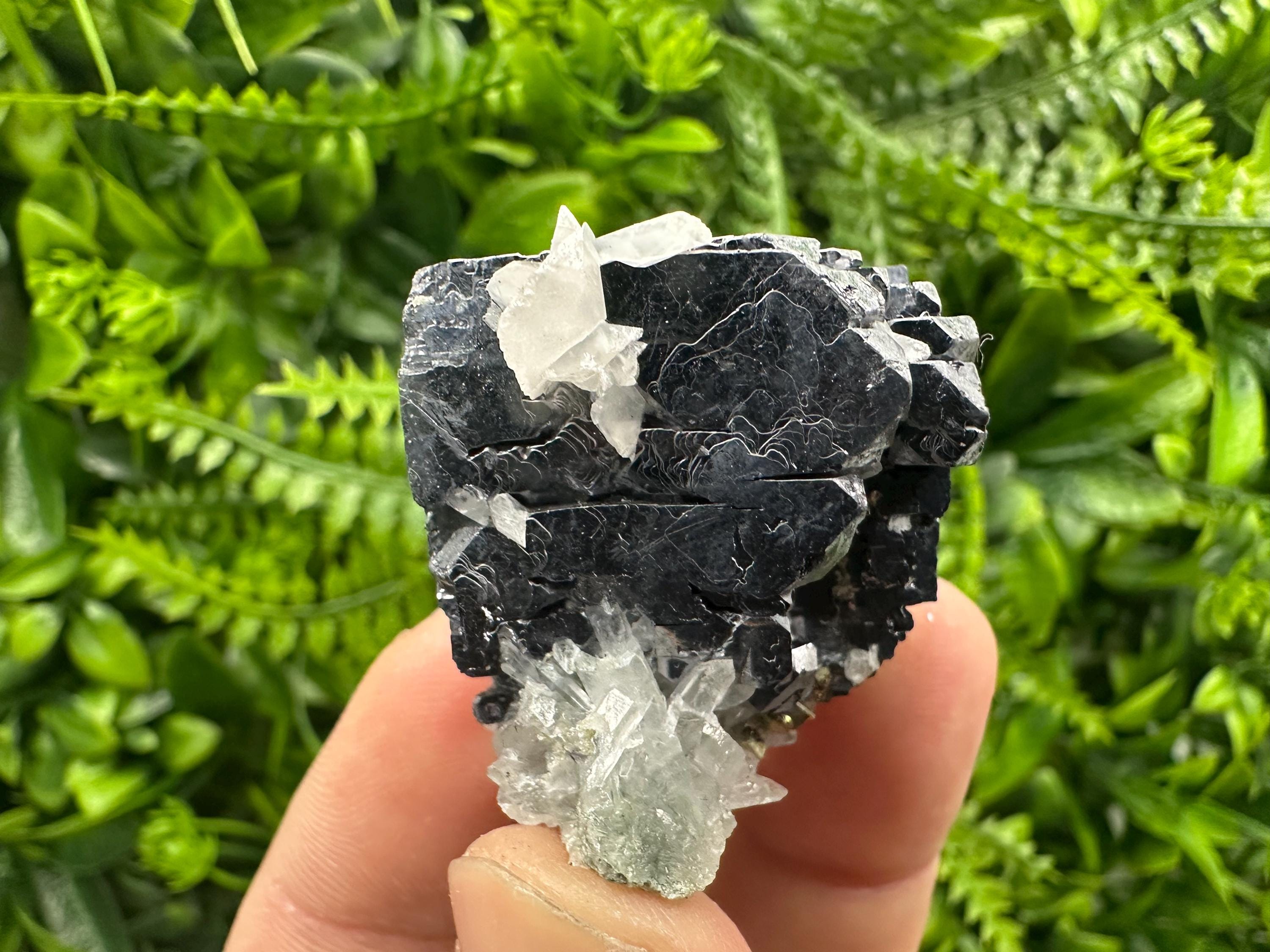 Quartz Galena Calcite Specimen: Borieva Mine, Bulgaria