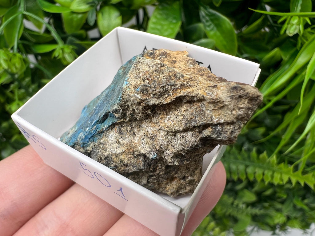 Rare Raw Aerinite Mineral Specimen: Collection Crystal from Lleida, Spain