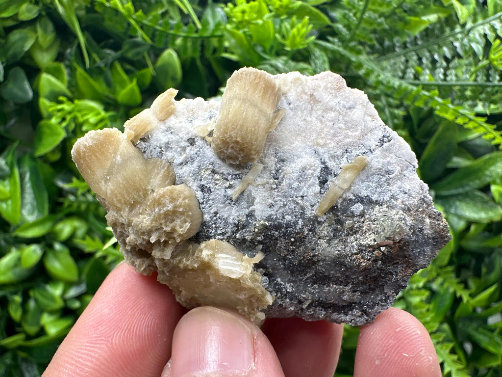 Rare Calcite Cluster on Matrix, Bulgarian Mineral Specimen